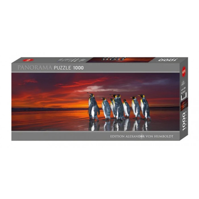 Heye - Панорама: Королівські пінгвіни (Panorama: King penguins), 1000 ел