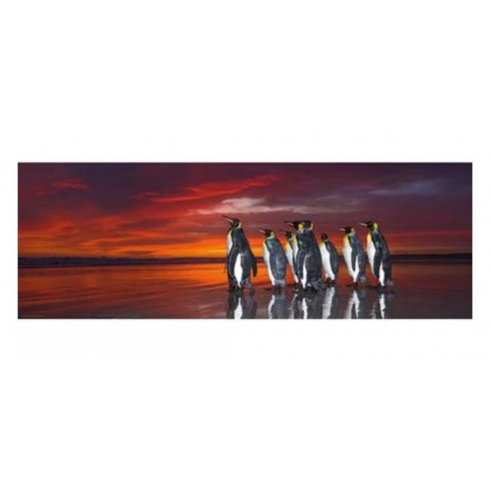 Heye - Панорама: Королівські пінгвіни (Panorama: King penguins), 1000 ел