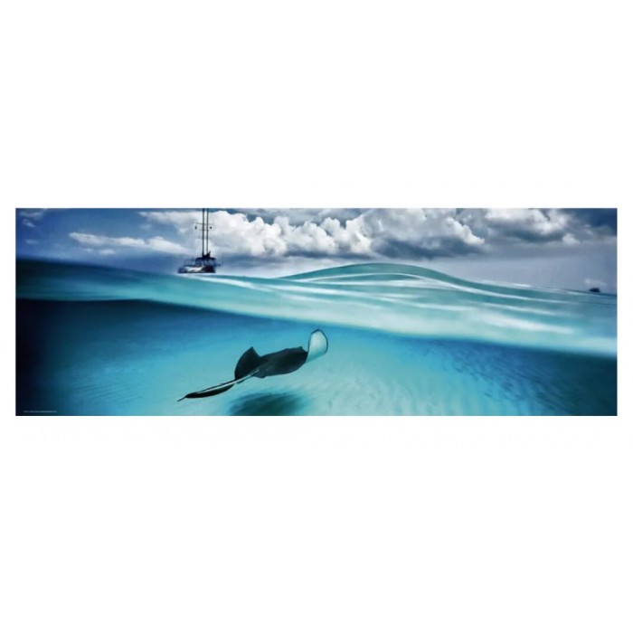 Heye - Панорама: Скат (Panorama: Stingray), 1000 ел