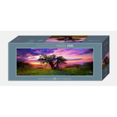 Heye - Панорама: Дуб (Panorana: Oak tree), 2000ел