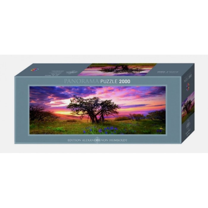 Heye - Панорама: Дуб (Panorana: Oak tree), 2000ел