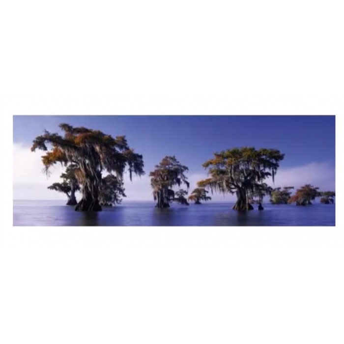 Heye - Панорама: Кипариси (Panorama: Cypress trees), 1000 ел.