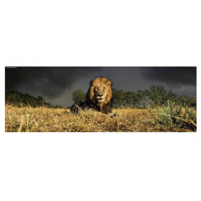 Heye - Панорама: Лев (Panorama: Lion), 1000 ел