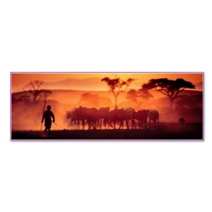 Heye - Панорама: Пустеля Калахарі (Panorama: Kalahari Desert), 1000 ел