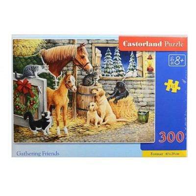 Castorland - Зустріч друзів (Gathering friends), 300 ел