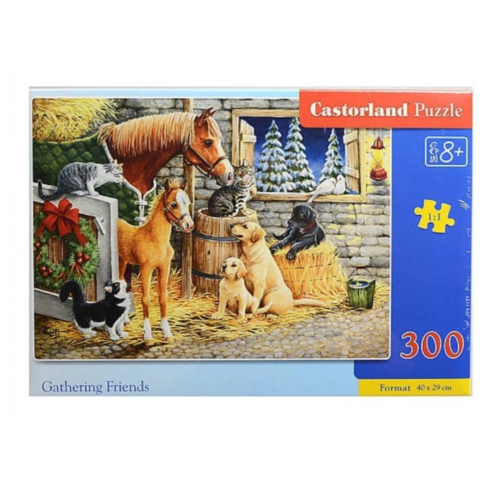 Castorland - Зустріч друзів (Gathering friends), 300 ел