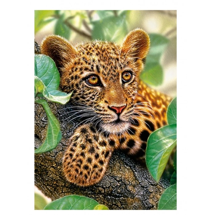 Castorland - Гепард обіймає дерево ( Tree hugger), 300 ел.