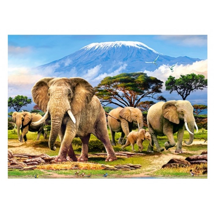 Castorland - Ранок в Кіліманжаро (Kilimanjaro morning), 300 ел