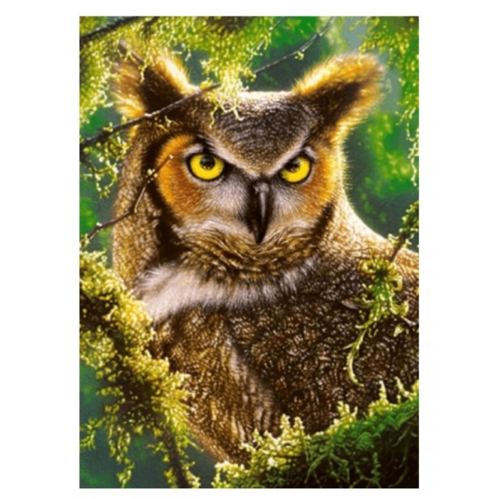 Castorland - Сова (Watching & waiting), 300 ел