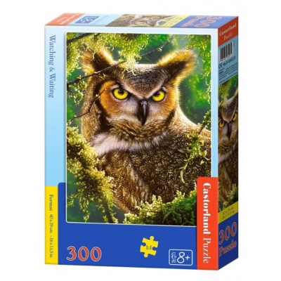 Castorland - Сова (Watching & waiting), 300 ел