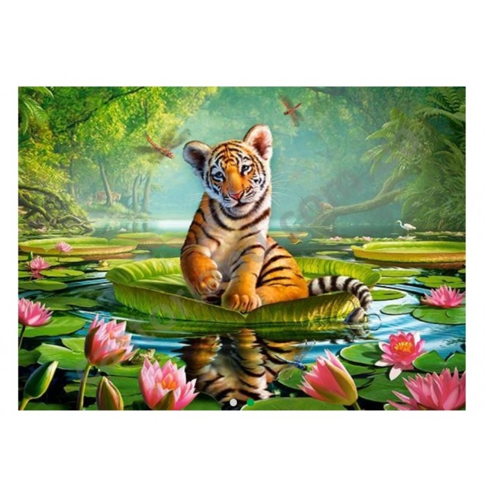 Castorland - Тигреня на лілії ( Tiger lily), 300 ел