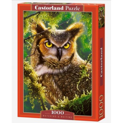 Castorland - Сова (Watching and waiting), 1000 ел