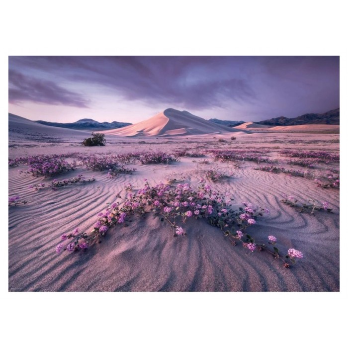 Heye - O. Гумбольдт: Динамічна стріла (A. Humboldt: Arrow Dynamic), 1000 ел.