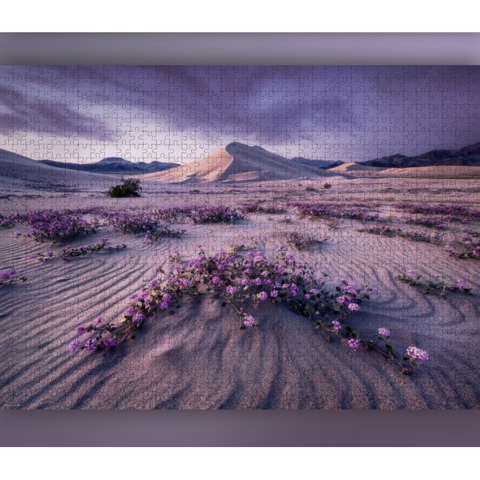 Heye - O. Гумбольдт: Динамічна стріла (A. Humboldt: Arrow Dynamic), 1000 ел.