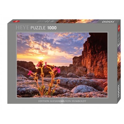 Heye - О. Гумбольдт: Червона зорянка (А.Humboldt: Red campion), 1000 ел