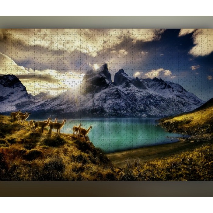 Heye - О. Гумбольдт: Гуанако (А. Humboldt: Guanacos), 1000 ел.