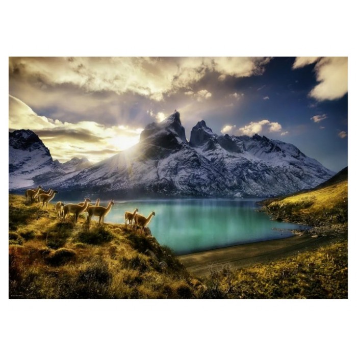 Heye - О. Гумбольдт: Гуанако (А. Humboldt: Guanacos), 1000 ел.