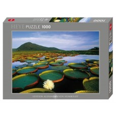 Heye - О. Гумбольдт: Лілія Вікторія (А. Humboldt: Victoria Lily), 1000 ел.