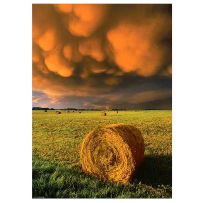 Heye - Сила природи: Наростання шторму (Power of nature: Rising Storm), 1000 ел