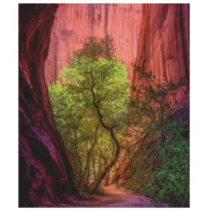 Heye - Сила природи: Співаючий каньйон (Power of nature: Singing Canyon), 1000 ел.