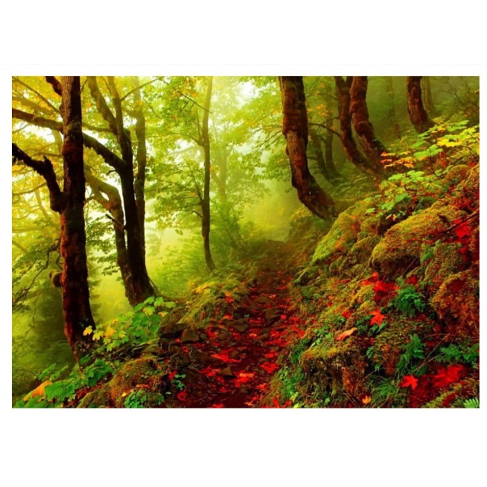 Heye - Магічні ліси: Стежка (Magic Forests: Path), 1000 ел