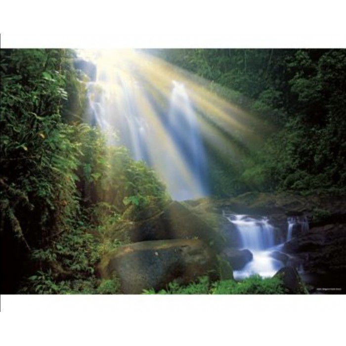 Heye - Магічні ліси: Водоспад (Magic Forests: Waterfall), 1000 ел.