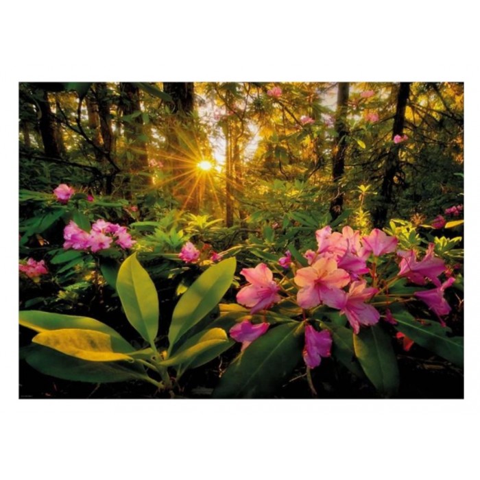 Heye - Магічні ліси: Рододендрон (Magic forests: Rhododendron), 2000 ел.