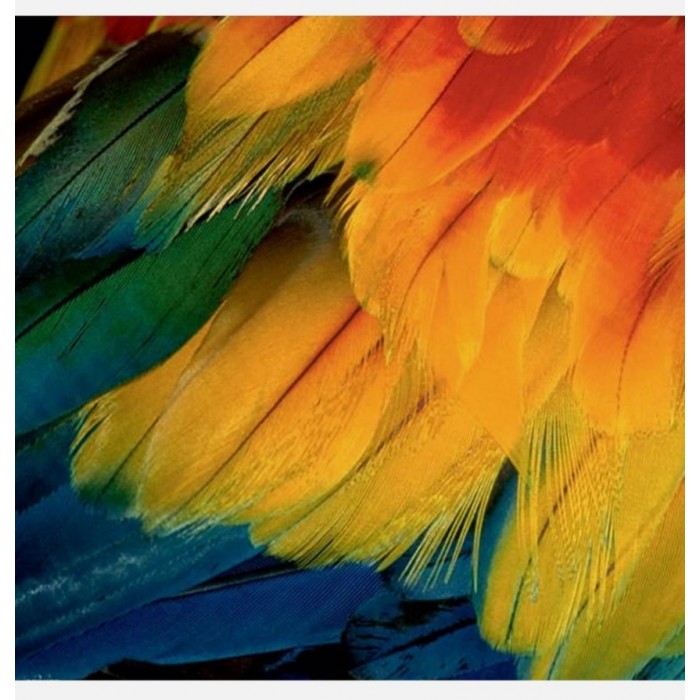 Heye - Видання Вайнгартен: Пір'я (Edition Weingarten: Feathers), 1000 ел.