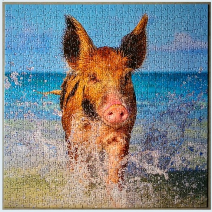 Heye - Видання Вайнгартен: Поросічий рай ( Edition Weingarten: Paradise Pig), 1000 ел.