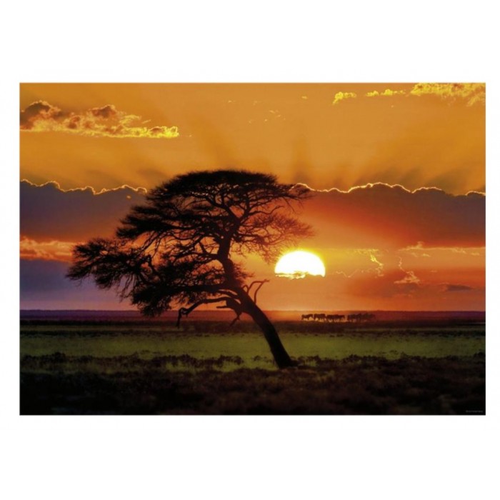 Heye - Сонячне сяйво: Дерево ( SunLight: Sunny Tree), 1000 ел.