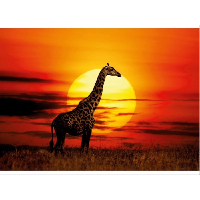 Heye - Сонячне сяйво: Жираф (SunLight: Sunny Giraffe), 1000 ел.