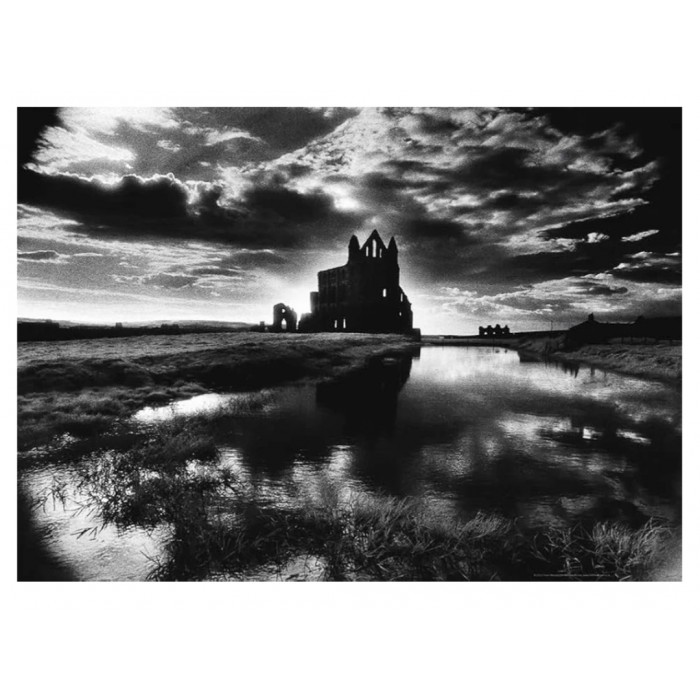 Heye - Сутінки: Абатство (Twilight: Abbey), 1000 ел.