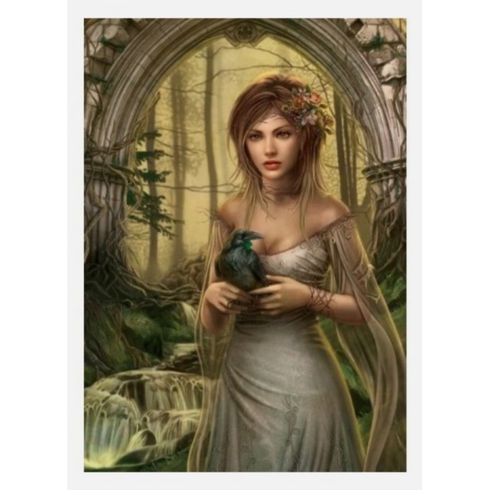 Heye - Забутий: Ворон 3D (Forgotten: Crow 3D), 500 ел.