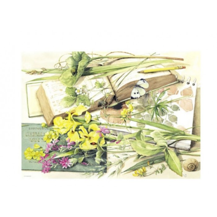 Heye - Маржолей Бастін: Журнал (Marjolein Bastion: Journal), 1000 ел.