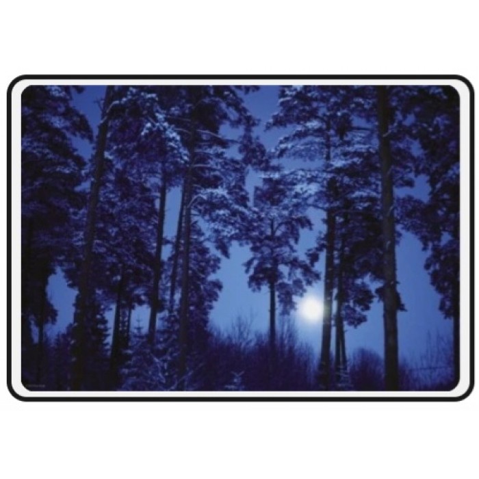 Heye - Магічні ліси: Повний місяць (Magic Forests: Full Moon), 500 ел.