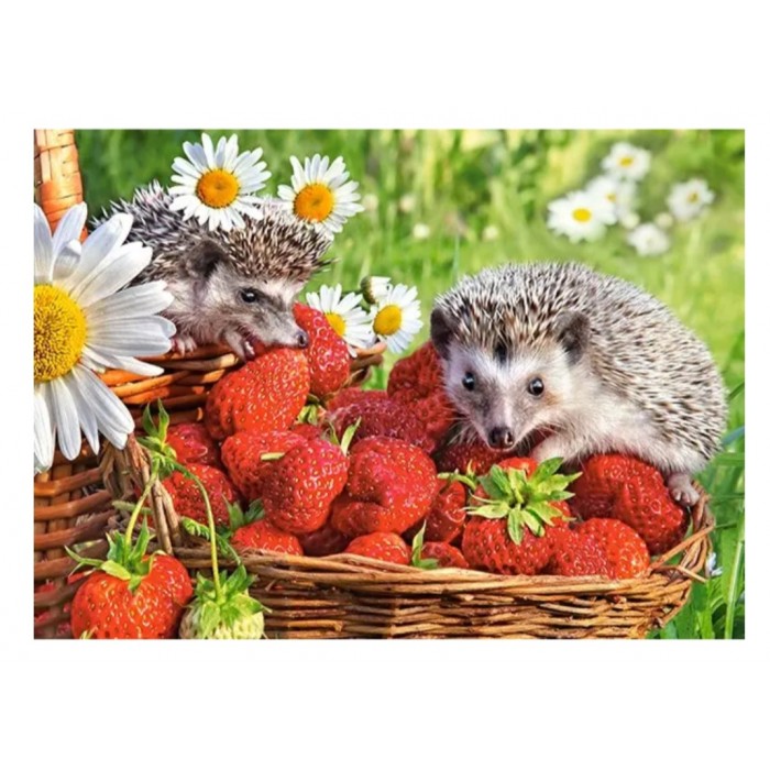 Castorland - Полуничний десерт (Strawberry dessert), 260 ел.