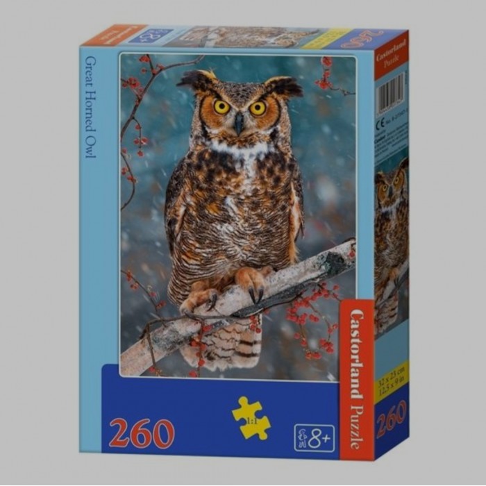 Castorland - Сова ( Great horned owl), 260 ел.