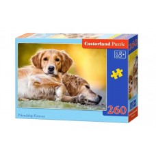 Castorland - Друзі на завжди (Friendship Forever), 260 ел.