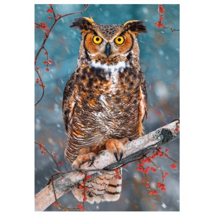 Castorland - Сова ( Great horned owl), 260 ел.