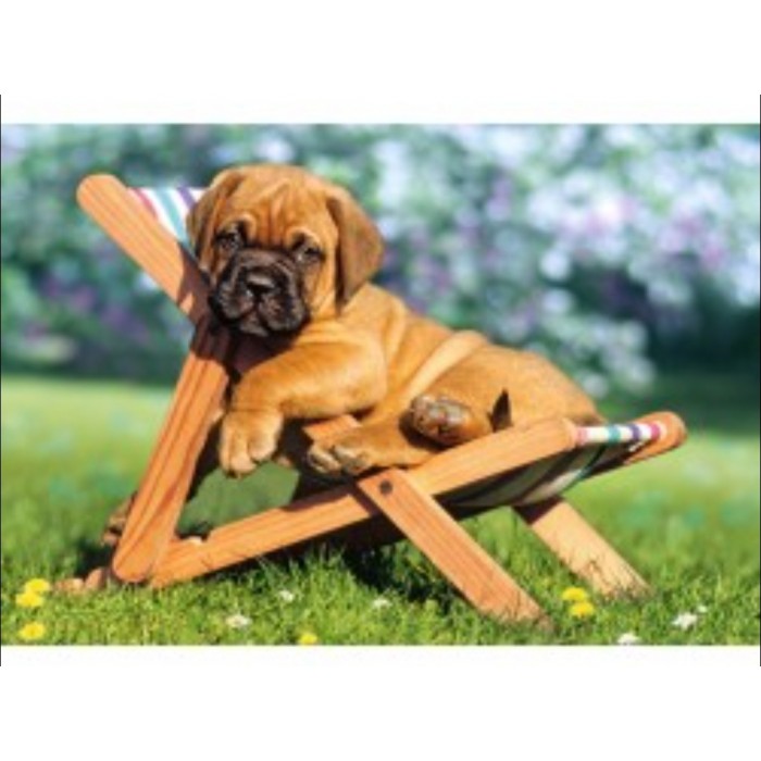 Castorland - Цуценя Дога на відпочинку, 260 ел.