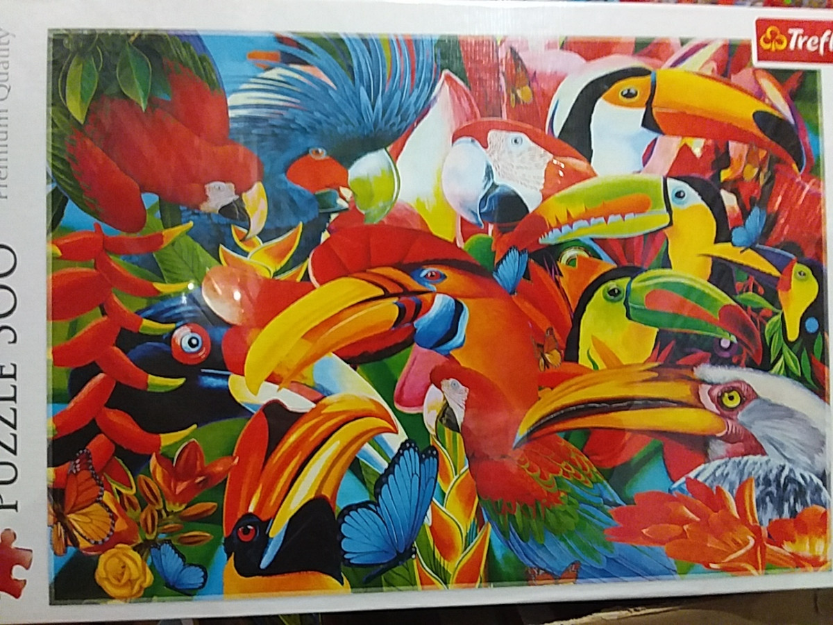 2791335326_trefl-kolorovi-ptahi.jpg