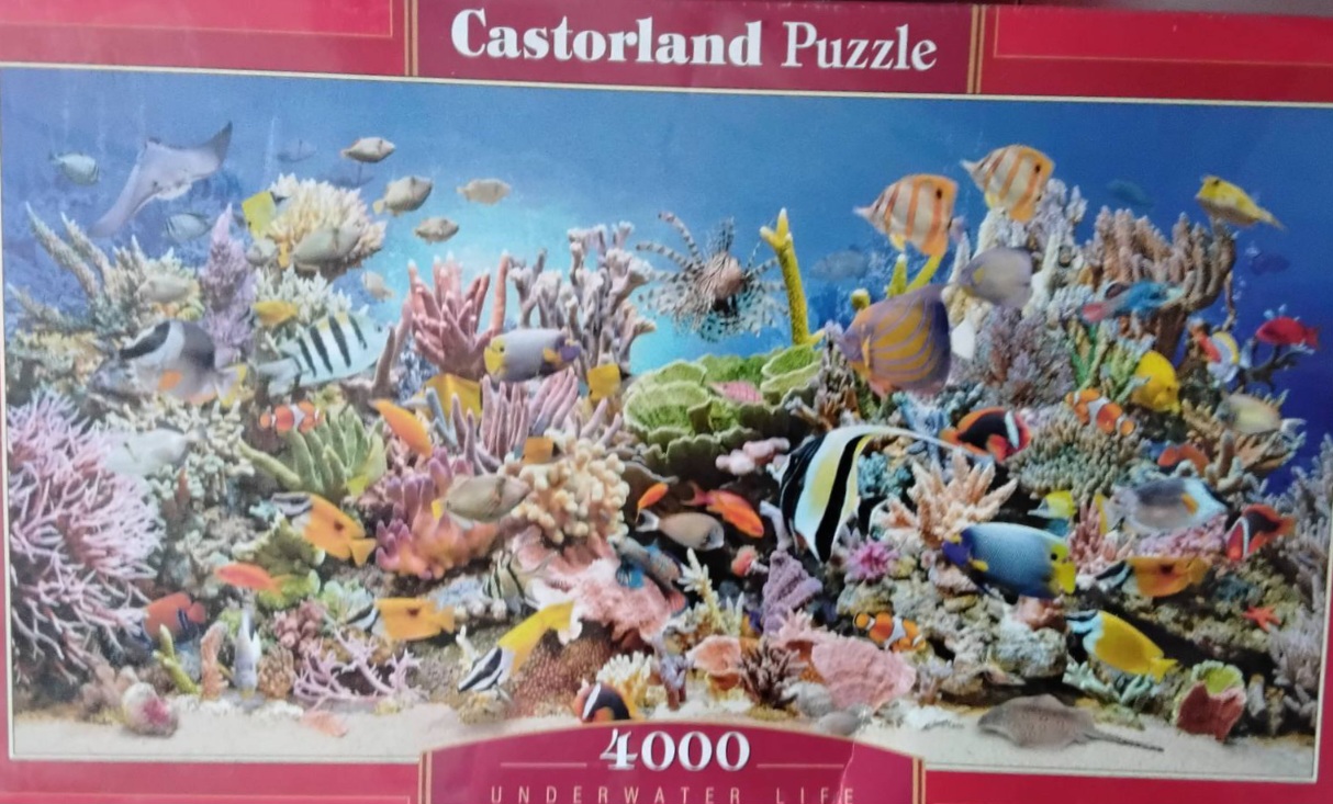 IMG-424df295563746173f414fc9586ba332-V