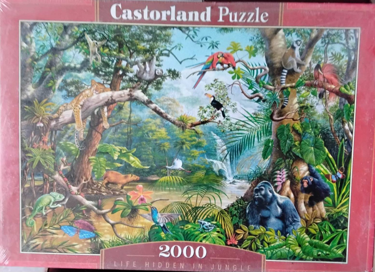 IMG-9974035a891dd83412b3bd08a2572621-V