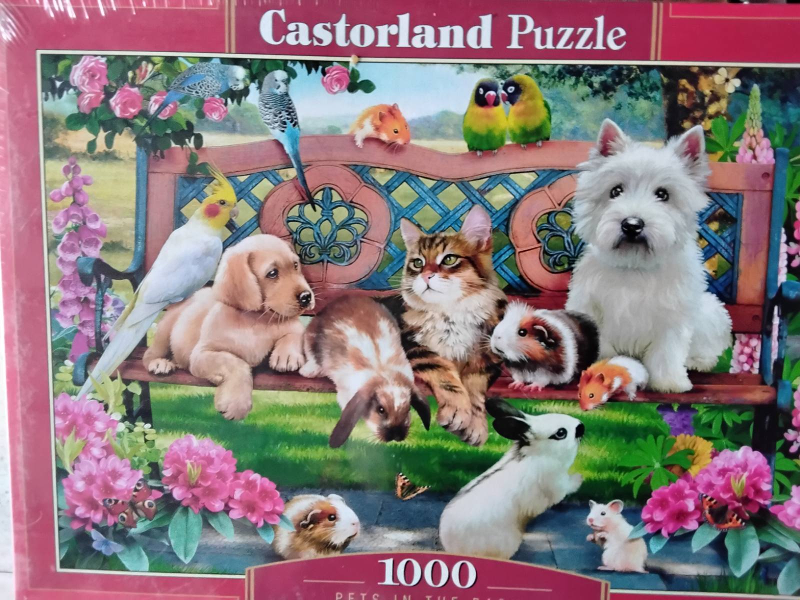 IMG-27469a5c2fba5d6fbaeb4374268614fe-V