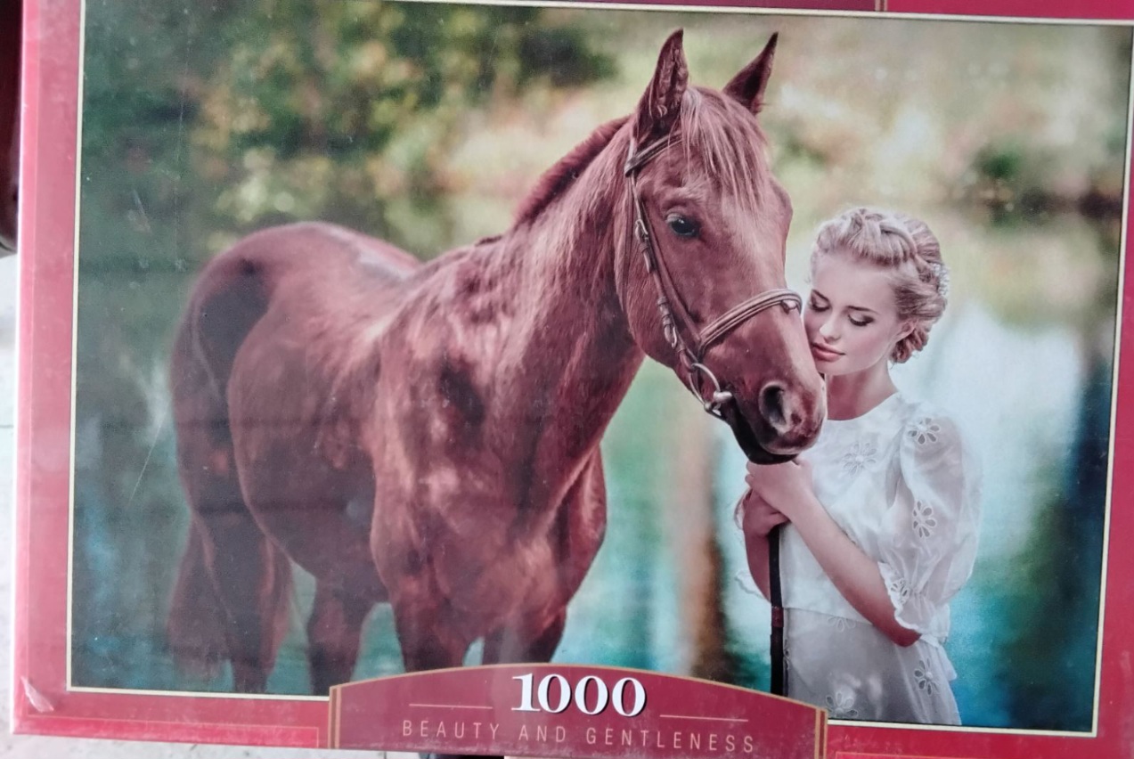 IMG-318123b820ef9b3da93fb93203c6f441-V