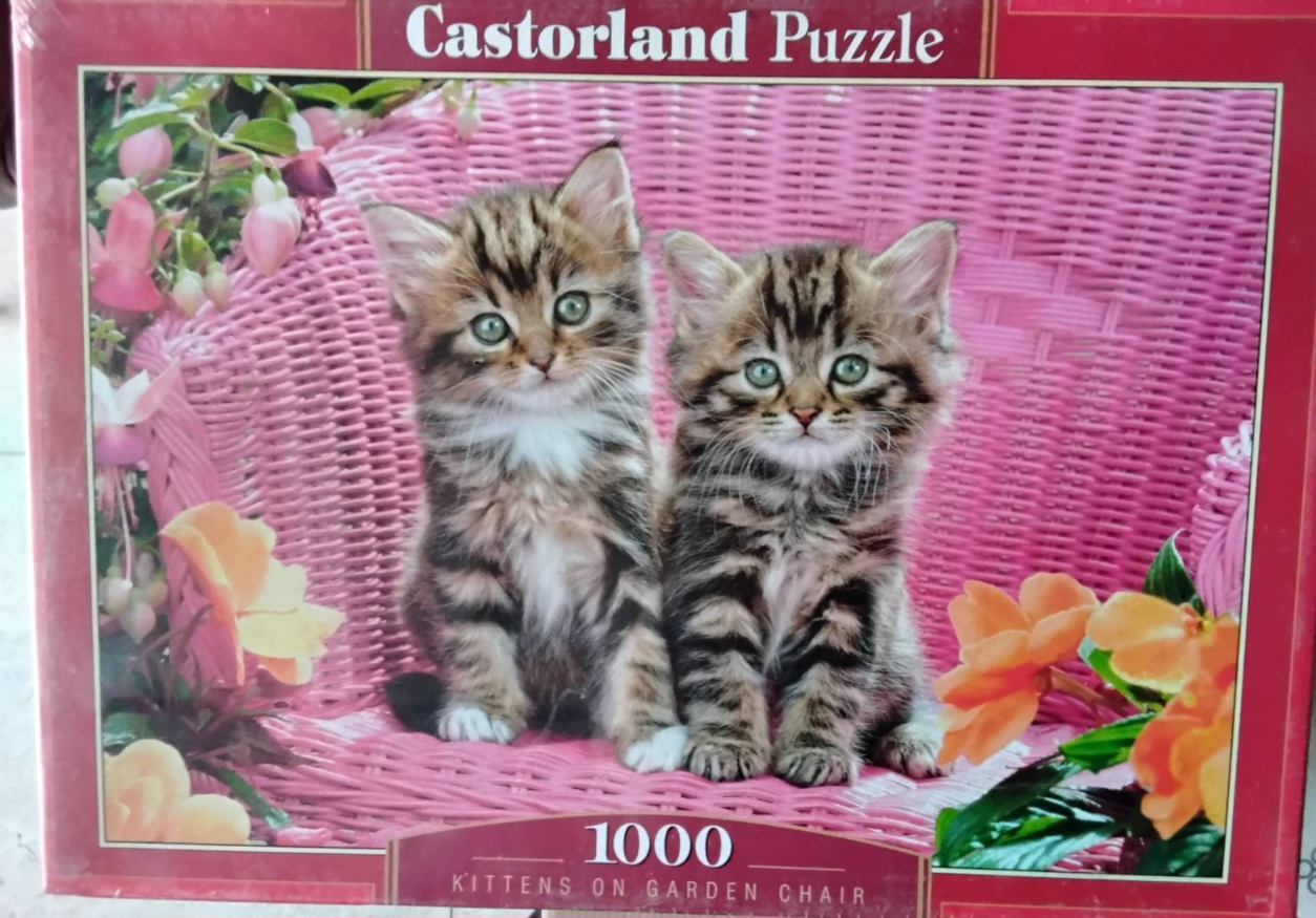 IMG-5c345d564afec50a5933895b746eed93-V