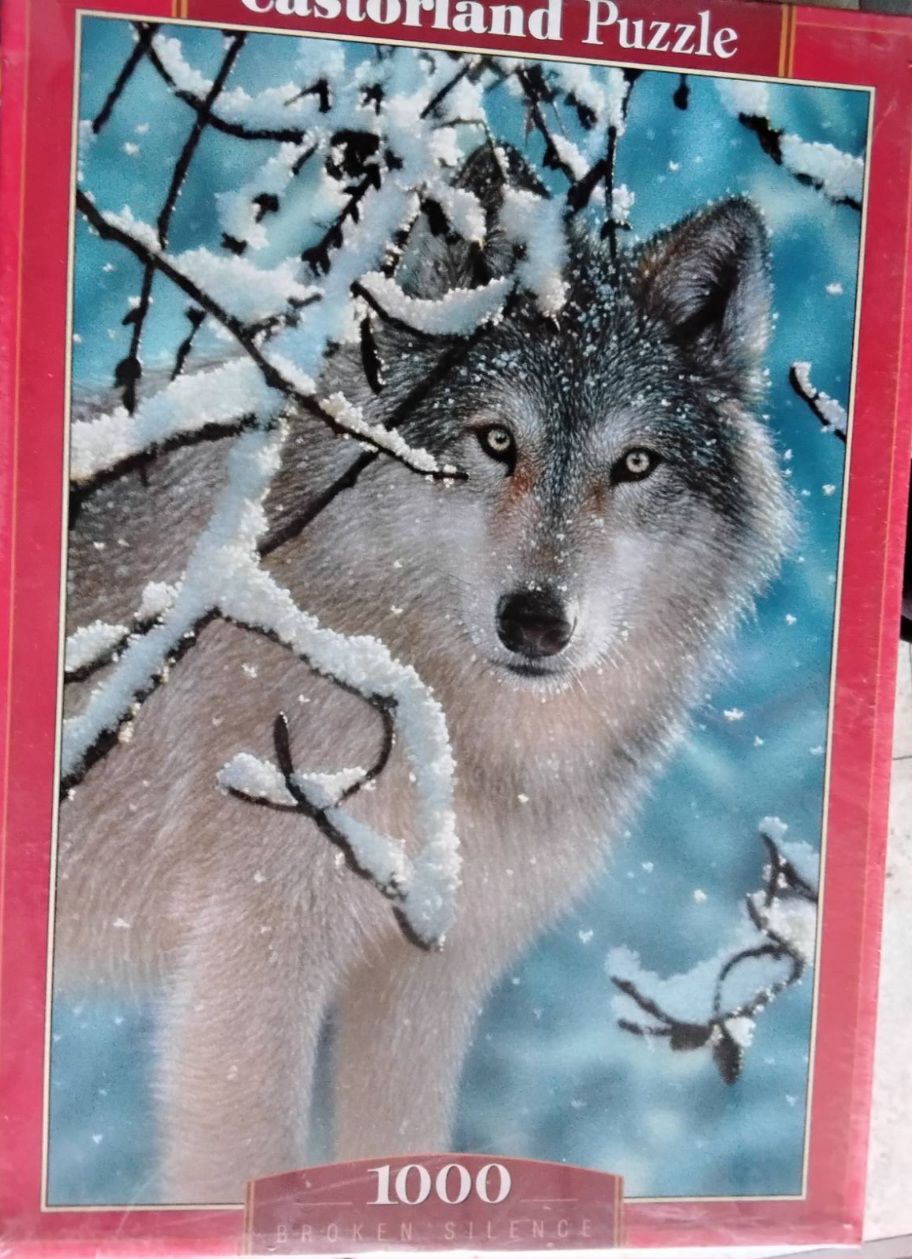 IMG-b4c37c02061c4fc9e8f20cb0419a962f-V