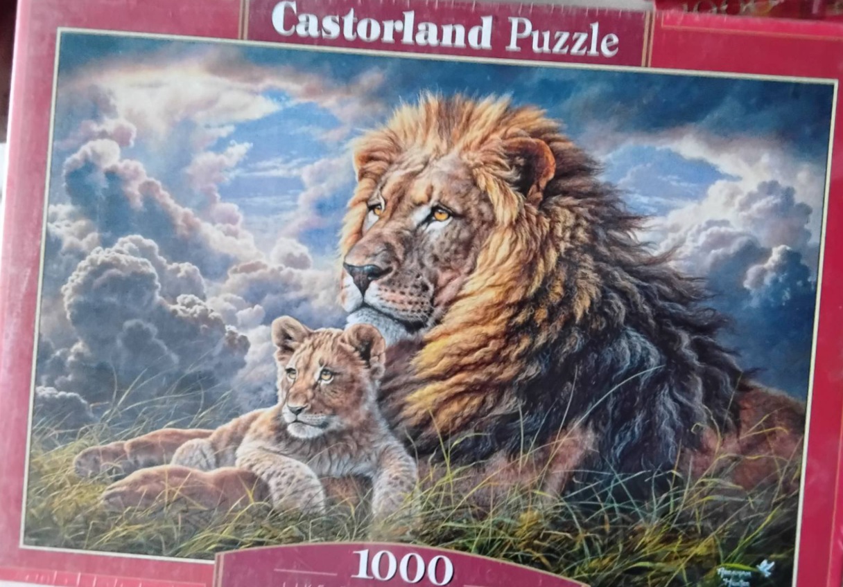 IMG-d071d5709c028e1a64c5f09261868e48-V