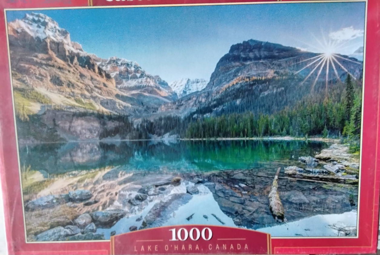 IMG-dcabb1c6cc5e5d1f544ee89abc3484ec-V