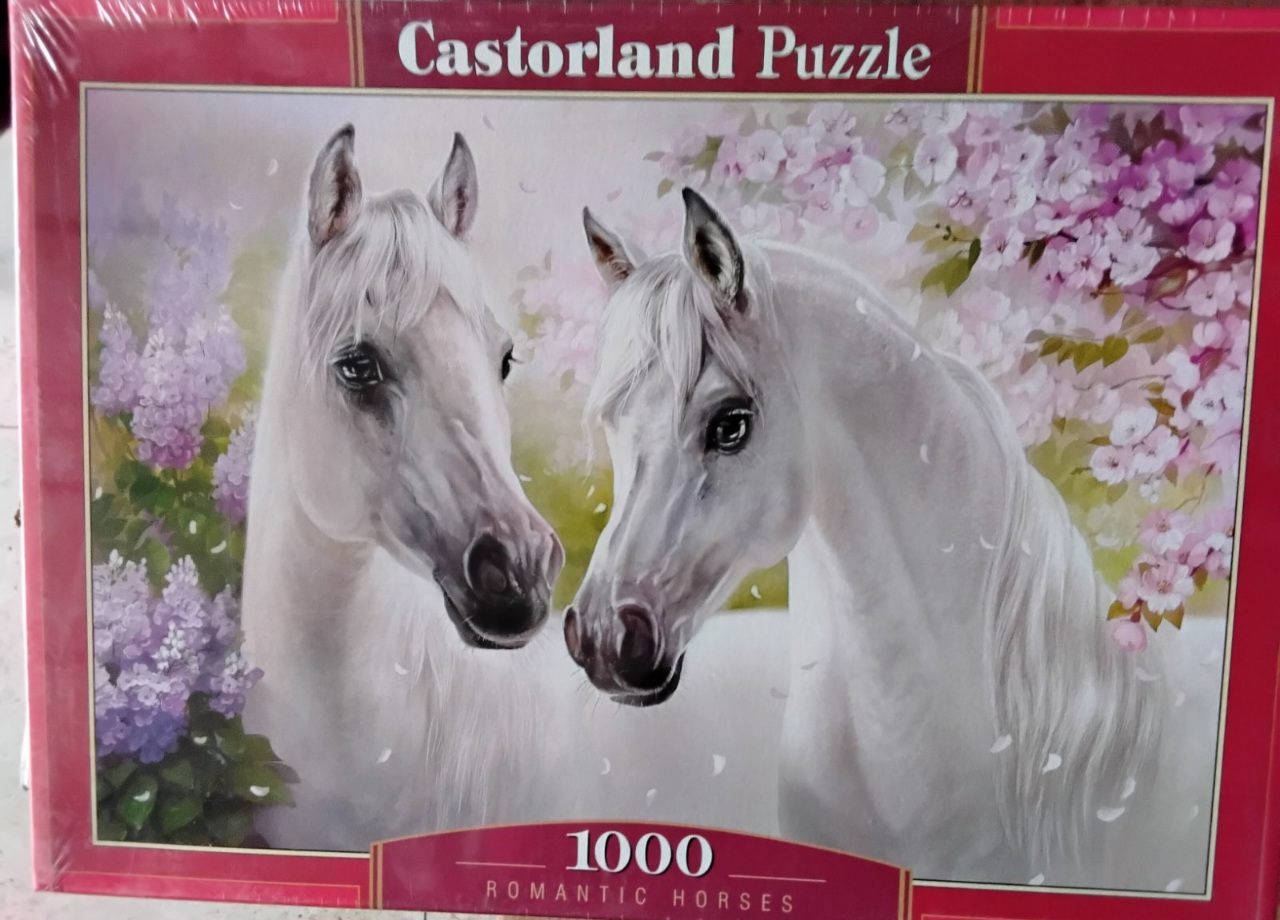 IMG-e2c8e7199d044a491e2b2c54145762db-V